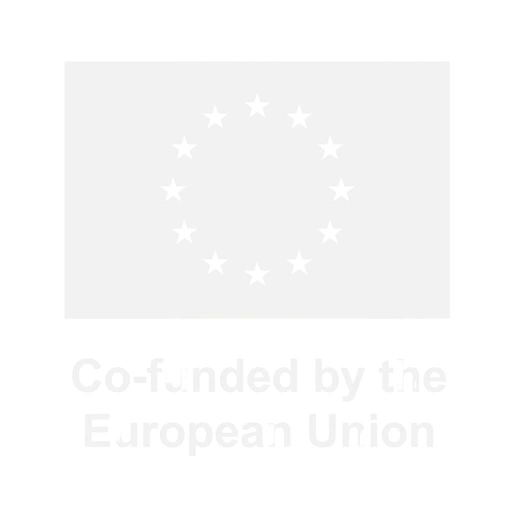 Co-funded by the European Union